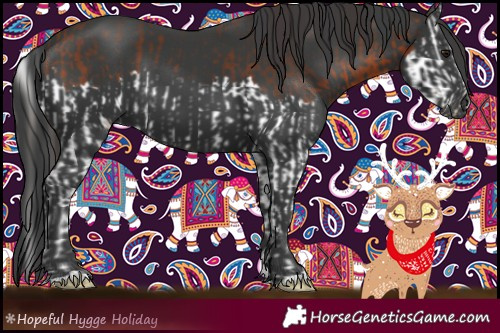 Horse Color:Bay Splash  and Black 