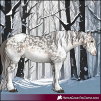Horse Color:White Spotted Brown Dun Snowcap 