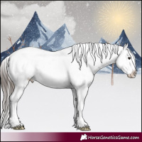 Horse Color:White Spotted Brown Dun Appaloosa 