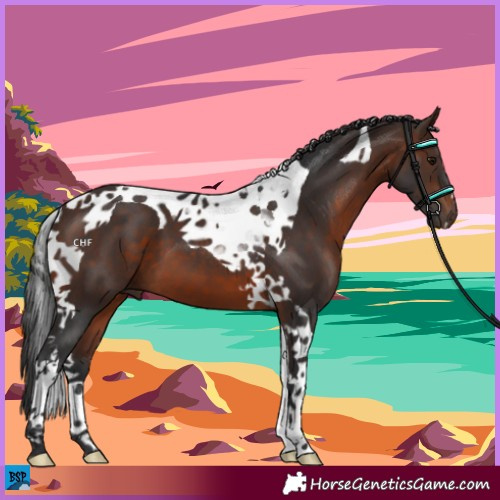 Horse Color:Brown Tobiano 