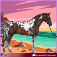Horse Color:Brown Tobiano