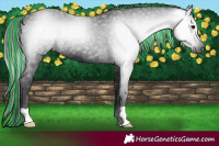 Horse Color:Gray Painted Black