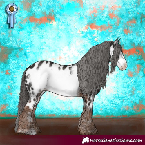 Horse Color:Liver Chestnut Frame Appaloosa