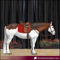 Horse Color:Brown Splash