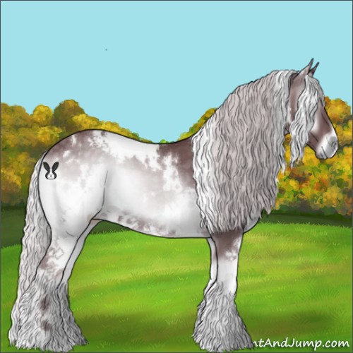 Horse Color:White Spotted Chocolate Silver Blue Onyx Chinchilla 