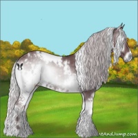 Horse Color:White Spotted Chocolate Silver Blue Onyx Chinchilla 