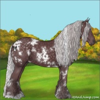Horse Color:White Spotted Chocolate Silver Black Chinchilla 