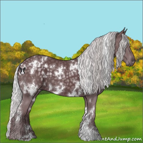 Horse Color:White Spotted Chocolate Silver Black Chinchilla 