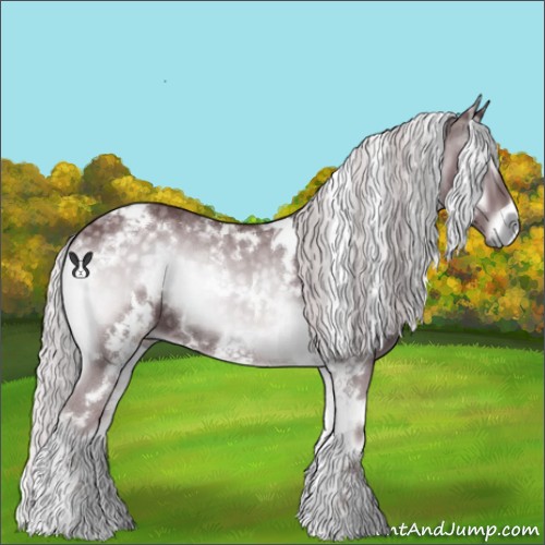 Horse Color:White Spotted Chocolate Silver Blue Onyx Chinchilla 