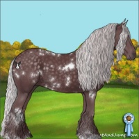 Horse Color:White Spotted Chocolate Silver Black Chinchilla 