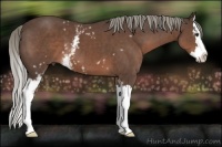 Horse Color:White Spotted Liver Chestnut Mushroom Splash 