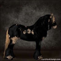 Horse Color:Void Gold Champagne Tobiano Frame Appaloosa