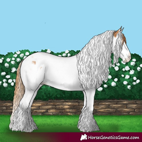 Horse Color:Chestnut Splash Tobiano 