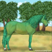 Horse Color:Watercolor Bay 