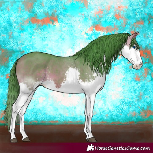 Horse Color:Watercolor Bay Sabino Splash 