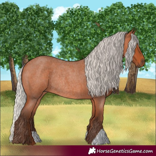 Horse Color:Silver Bay Roan Rabicano 