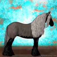 Horse Color:Void Silver Blue Roan Splash Rabicano 