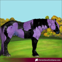 Horse Color:ERROR: UNKNOWN ANOMALY