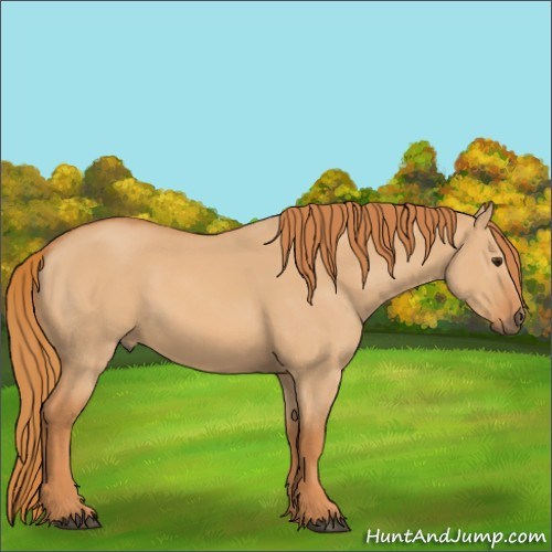 Horse Color:Red Dun 