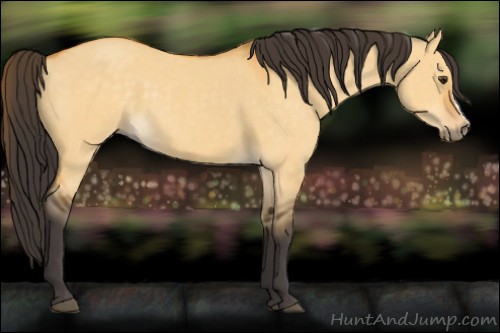 Horse Color:Buckskin Dun  and Buckskin Dun 