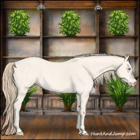 Horse Color:Perlino Dun  and Perlino Dun 