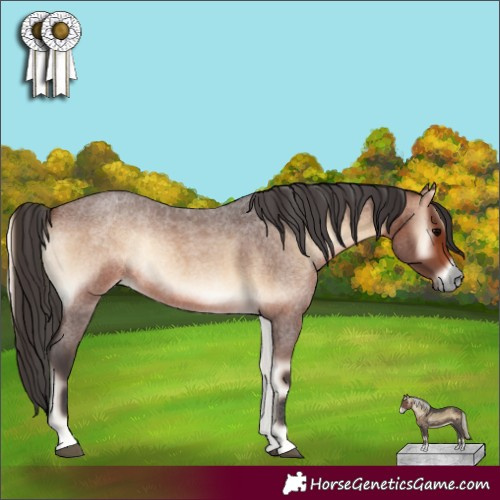 Horse Color:Brown Roan Onyx Rabicano 
