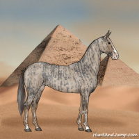 Horse Color:Blue Roan Sabino Splash  and Classic Champagne Roan Sabino Splash 