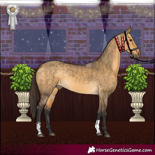 Horse Color:Buckskin Dun  and Buckskin Dun 