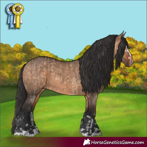 Horse Color:Brown Dun  and Bay Dun 
