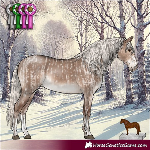 Horse Color:Silver Brown Roan Dun Mushroom  and White Spotted Liver Red Dun Mushroom Rabicano 