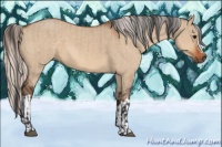 Horse Color:Bay Dun  and Silver Bay Dun 