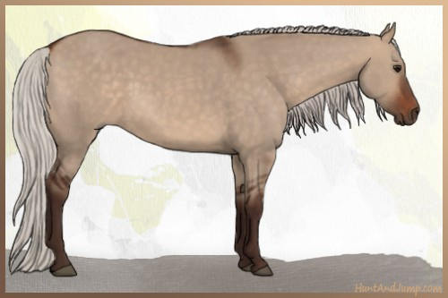 Horse Color:Silver Brown Dun 
