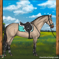 Horse Color:Brown Dun  and Brown Dun 