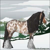Horse Color:Bay Dun  and Bay Dun Near Leopard 
