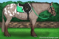 Horse Color:Liver Red Roan Mushroom Appaloosa 