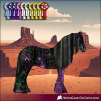 Horse Color:ERROR: UNKNOWN ANOMALY and ERROR: UNKNOWN ANOMALY