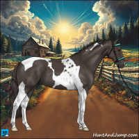 Horse Color:Smoky Black Tobiano 