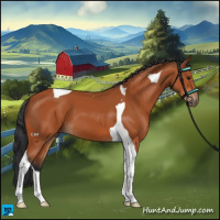 Horse Color:Bay Tobiano 