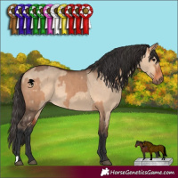 Horse Color:Bay Dun  and Bay Dun 