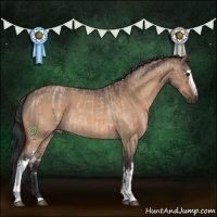 Horse Color:White Spotted Bay Roan Dun  and White Spotted Bay Dun 