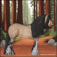 Horse Color:Bay Dun  and Bay Dun 