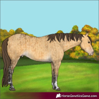 Horse Color:Buckskin Dun  and Amber Cream Champagne Dun 