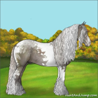 Horse Color:Silver Black Tobiano