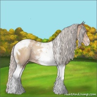 Horse Color:Silver Sable Champagne Tobiano 