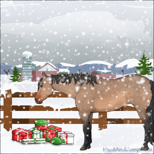 Horse Color:Bay Dun  and Bay Dun Rabicano 