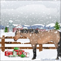 Horse Color:Bay Dun  and Bay Dun Rabicano 