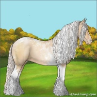 Horse Color:Silver Bay Pearl Dun Tobiano 