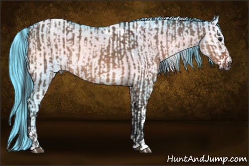 Horse Color:Brown Dun  and Watercolor Brown Chinchilla Onyx Tobiano 
