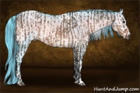 Horse Color:Brown Dun  and Watercolor Brown Chinchilla Onyx Tobiano 