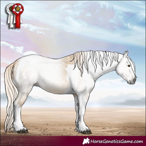 Horse Color:Gray Palomino Dun Tobiano 
